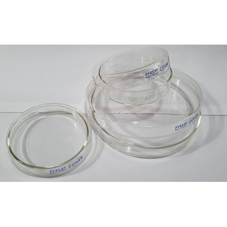 Caja Petri 100 X 20 mm Pyrex®