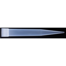 Punta para Micropipeta 1000 uL Eurotubo®