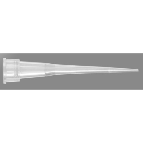 Punta para Micropipeta 10 uL Axygen®
